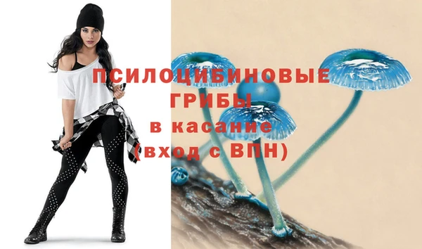 ALPHA PVP Баксан
