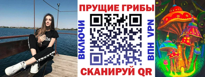 Галлюциногенные грибы Psilocybine cubensis  Коряжма 
